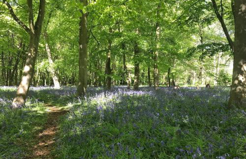 Well-equipped 4 bedroom family home with garden - Foto 22