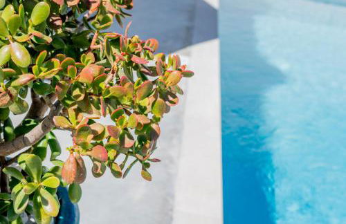 SIMANA Mediterranean Pool Villas - Foto 9