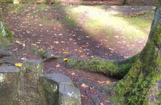 Ferienwohnung Schuhmacherwerkstatt Wilhelm Wendel - Photo 28
