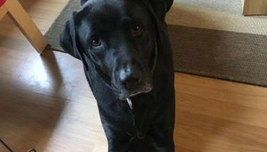 Ferienhaus am Stausee Bitburg - Foto 5