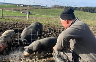 Biohof Liebhart - Photo 15