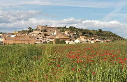 Casabras Rural - Foto 11