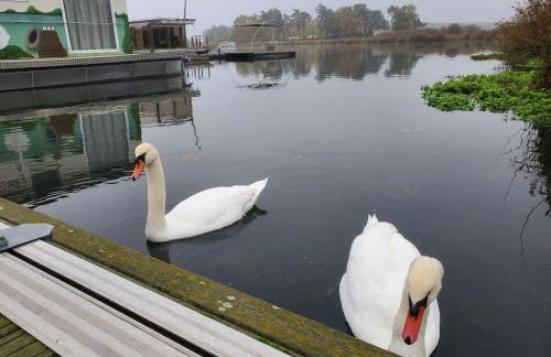 Traumhaus-auf-dem-Wasser-Modernisiertes-Hausboot-13-x-4-m - Foto 23
