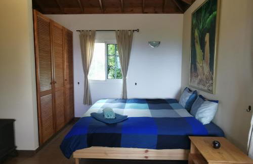 Iraña del bosque - Foto 20