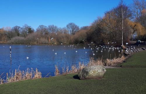 Semi Rural House - Stay 3 - Pet - Parking - Garden - Photo 18