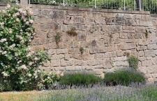 Ferienwohnung "Spatzennest" - Foto 34