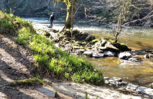 Gite de la foret - Foto 27