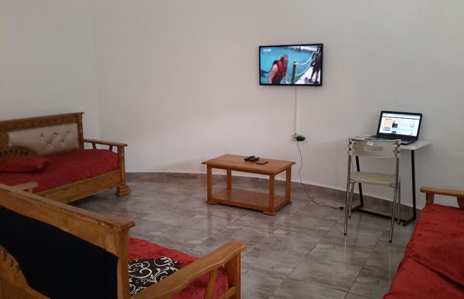 Appartements Aloui Foued - Photo 21