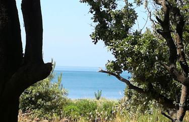 Petite maison agréable à 300 m de la plage - Foto 1