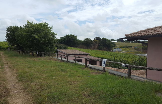 Azienda Agricola Sinisi - Foto 19