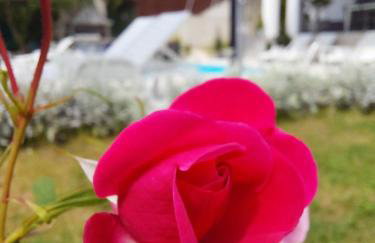 Villa Madlen - Foto 12