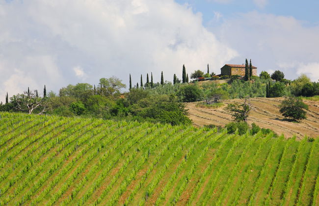 Casa dell'Orto - Photo 28