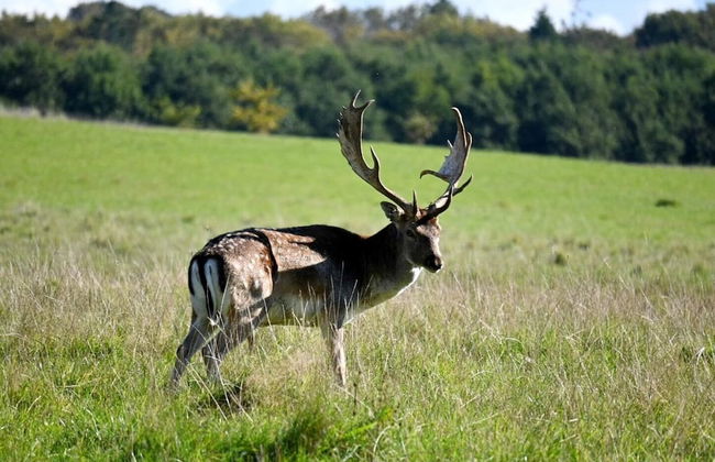 Middelfart Home- Nearby Free Waterpark Access - Foto 17