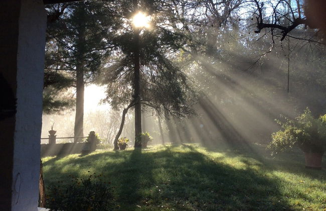 Cottage in Montefiore Near Forest and Beach - Photo 25
