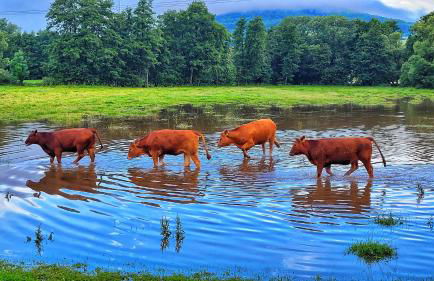 Habelberg Apartments - Foto 32