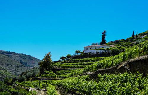 Quinta de la Rosa - Foto 6