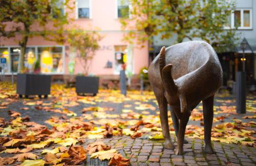 BEST STAY CityAppartment Hünfeld- SmartTV FreeWlan Balkon, in wenigen Minuten am Bahnhof, Innenstadt und doch ruhig gelegen - ideal für Paare oder Geschäftsreisen - Foto 8