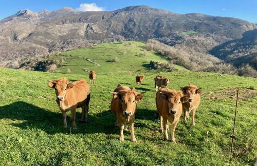Casa Mariquina Peaceful spacious home in Llanes - Photo 57
