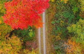 The 312 House - A Boho Retreat- Hocking Hills - Foto 13