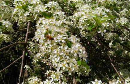 Agritur Rizzi di Inama Ugo - Foto 61
