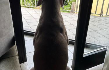 Valtellinda - Foto 32