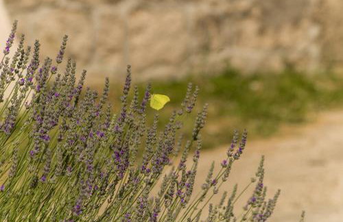 Holiday Home Godinj - Foto 47