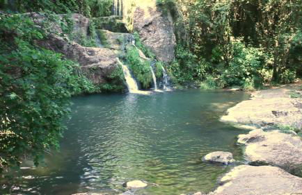 Allotjaments Rurals Can Pere Petit - Photo 48