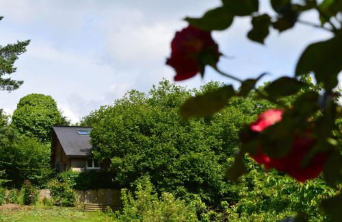 Gite la Baudrière - Foto 25