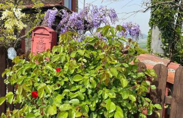 Villa Biancospino - luxury and private villa in Langhe - Foto 44