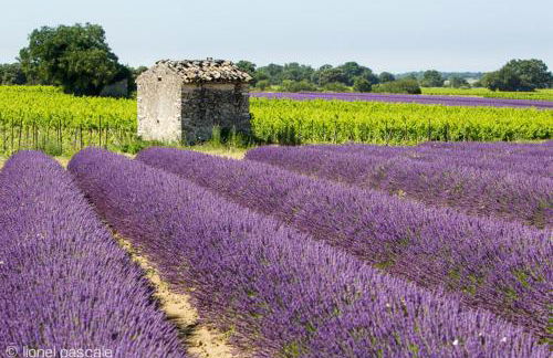Studio - Fontaine - Foto 8