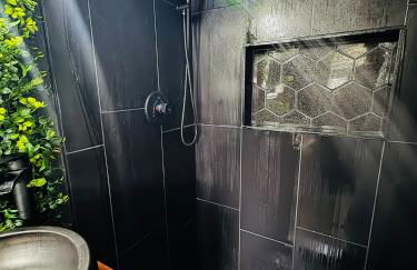 The Greenhouse Effect - Foto 15