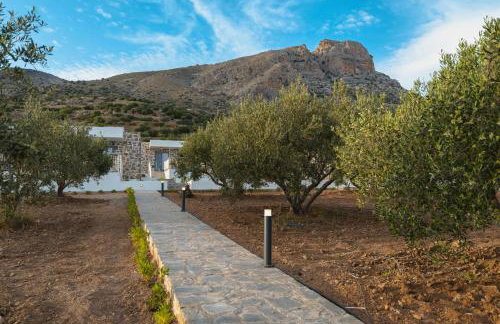 Chryselia Suites- Private Pool - Foto 55