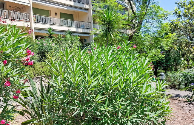 Les Pins D'Alep - Foto 16