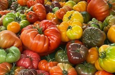 13 Rue du Tour d'Enceinte - Foto 28