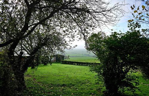 Piglets Place - Photo 6