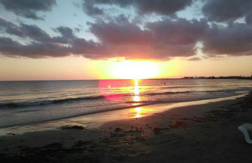 Apartament Sony - Foto 35