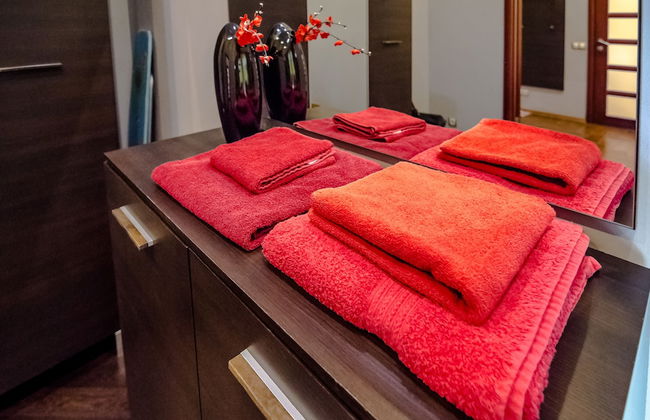 Rent Kiev Lva Tolshtoho Square - Foto 59