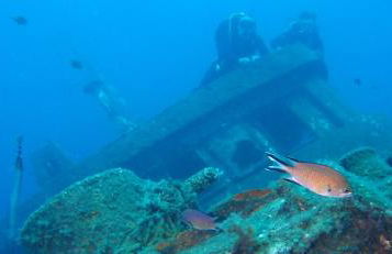 Top Luxury Villa to the Ocean - Foto 41