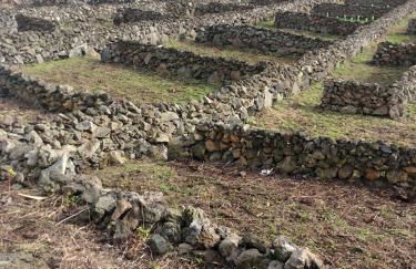 Graciosa Family House - Foto 38