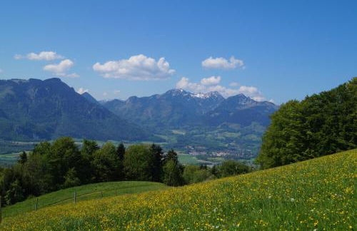 Schoberhof - Foto 10