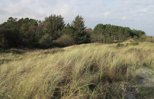 5 Person Holiday Home in Strandby-by Traum - Photo 3