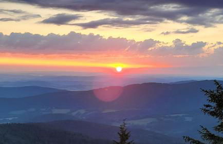 Lieblingsplatz - Foto 17