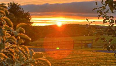 Parcglas - Hazel - Foto 4, Garden