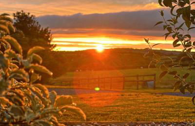 Parcglas - Hazel - Photo 4