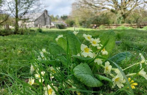 The Granary -Trewen - Foto 20
