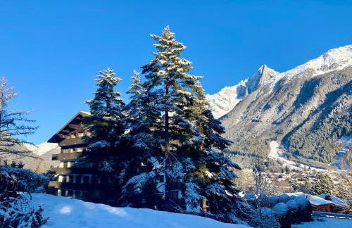 Charmant Studio tout confort au Brévent-Chamonix - Photo 9