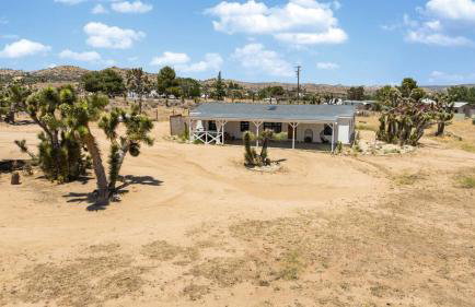 The Whispering Wind Tree - Foto 9