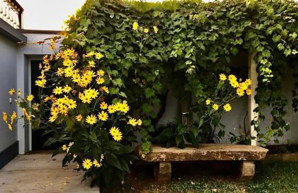 Casa Às Oito - Photo 30