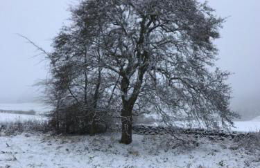 Gorgeous boutique off-grid cottage near Peebles - Foto 56