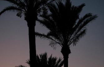 Prinsotel La Caleta - Foto 71